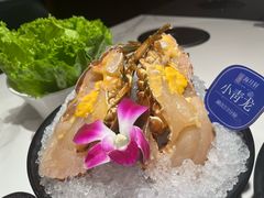 -海月轩海鲜豆捞(紫金塔店)