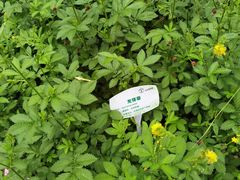 -北京植物园南门售票处