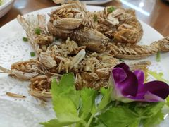-友强·23年特色海鲜大排档(厦门店)