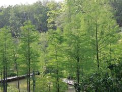 -云溪植物园