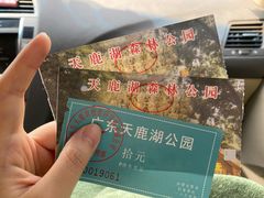 -天鹿湖森林公园