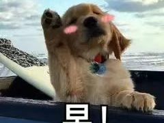 -法颂(金元宝于家堡购物中心店)