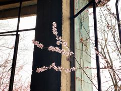 -蟒山国家森林公园天池停车场