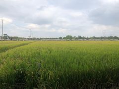 -嘉北郊野公园