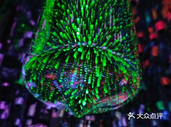 中了口碑的优惠券，三个人花了不到三十元去的