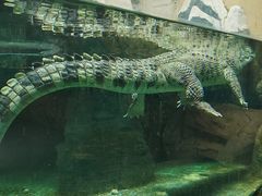 -青藏高原野生动物园
