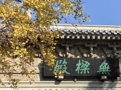 -灵谷景区
