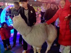 -新天地活力PARK