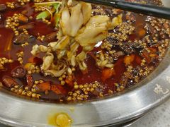 -老表牌·蛙蛙鸡冷锅鱼(成都东站店)