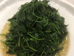 -普陀山祥生大酒店
