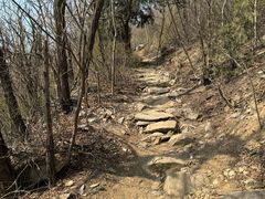 -北京西山国家森林公园