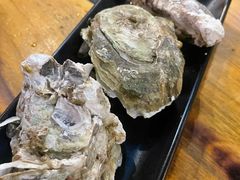 -土蚝·高压锅生蚝(百姓美食街店)