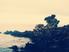 -龙头岩(Dragon Head Rock)
