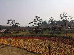 -秀丽东方