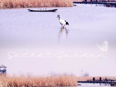 -盐城丹顶鹤湿地生态旅游区