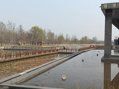 -西安浐灞国家湿地公园