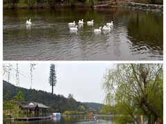 -黄陂区野村谷景区