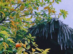 -麒麟小院·老九江菜(安平路店)