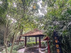 -天赐温泉