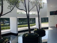 -紫马岭公园