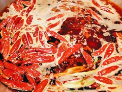 -小龙坎火锅(春熙太古里店)