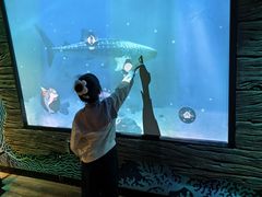 -沈阳海洋探索中心