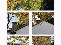 -南京民俗博物馆(甘熙故居)