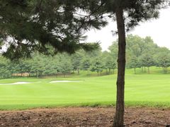 -北京京辉高尔夫俱乐部有限公司