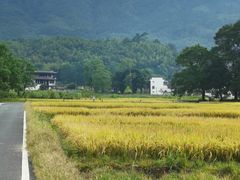 -塔川景区