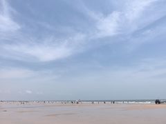 -日照海滨国家森林公园
