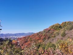 -北京西山国家森林公园