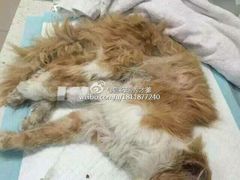 android_upload_pic-盛京一禾