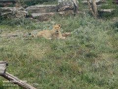 -鄂尔多斯野生动物园