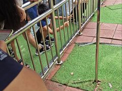 -富斯特索道