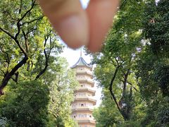 -灵谷景区