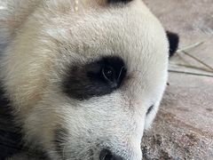 -宁波野生动物园