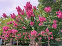 -杭州城北体育公园