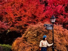 -上海瑞金洲际酒店