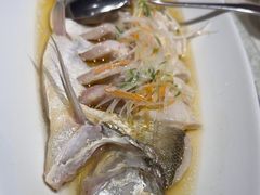 -金枝玉叶上海人家食府(三里河店)