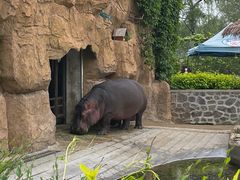 -沈阳森林动物园