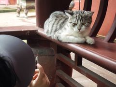 -乐山大佛风景名胜区乌尤寺南门-售票点