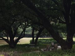 -荔香公园