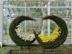 -上海鲜花港
