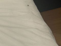 -大同王府至尊酒店(大同古城店)