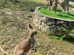 -西安秦岭野生动物园