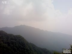 -王顺山国家森林公园
