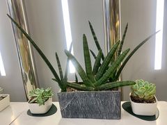 -猫王榴莲世家(三里屯SOHO商场店)
