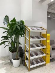 -蘭club婚礼策划