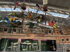 -南宫五洲植物乐园