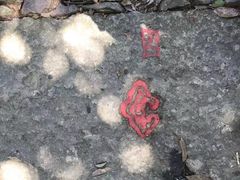 -西湖风景区十里琅珰-五云山